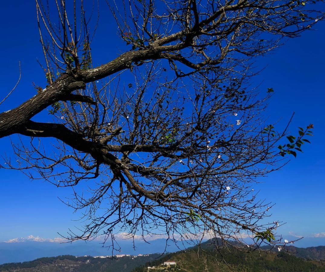 Meraki Huts Pauri Exterior foto